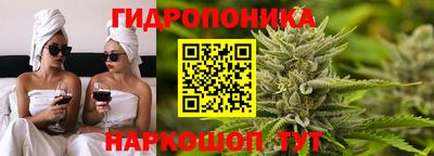 эйфоретик Гусь-Хрустальный