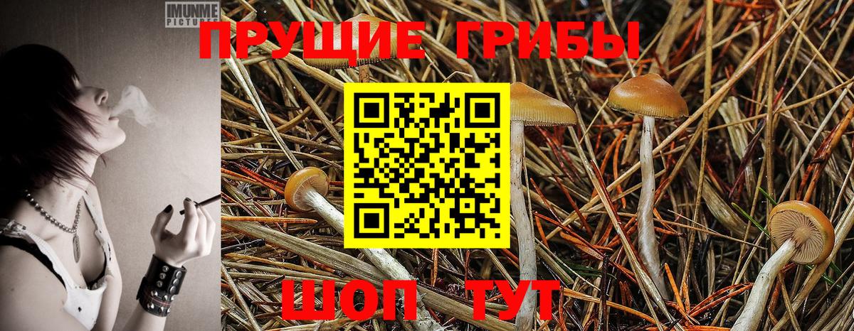Галлюциногенные грибы Psilocybine cubensis  Галлюциногенные грибы MAGIC MUSHROOMS  Магадан  Вход с VPN 